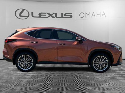 2025 Lexus NX 350 Luxury