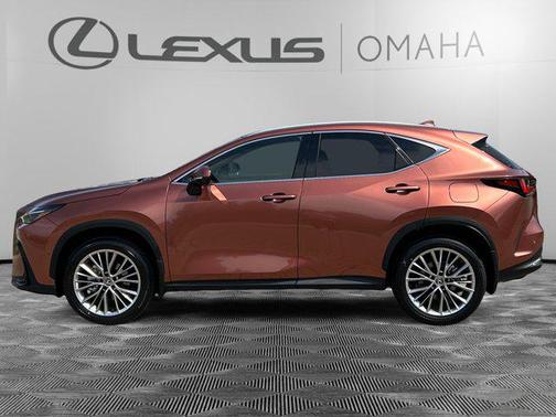 2025 Lexus NX 350 Luxury