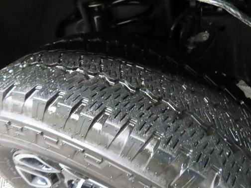 2025 Ford F-250 Platinum