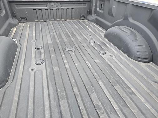 2025 Ford F-250 Platinum