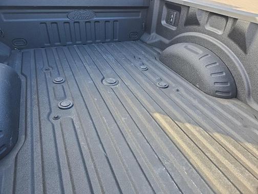 2025 Ford F-250 Platinum