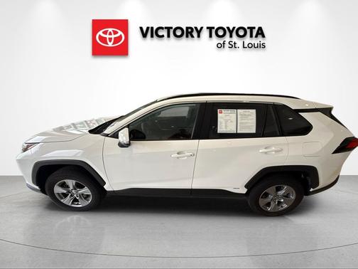 Ice Cap 2025 Toyota RAV4 Hybrid XLE