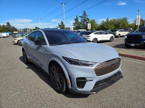 Glacier Gray Metallic 2025 Ford Mustang Mach-E GT