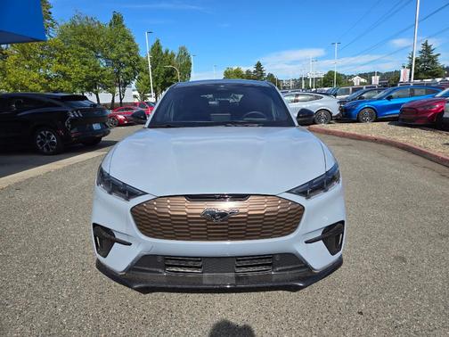 Glacier Gray Metallic 2025 Ford Mustang Mach-E GT