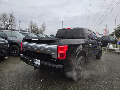 2019 Ford F-150 Platinum