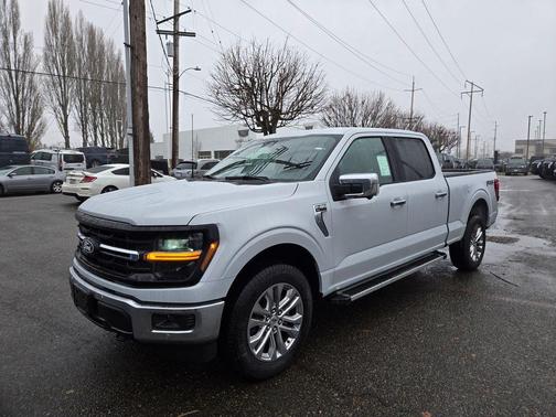 Space Gray 2025 Ford F-150 XLT Truck