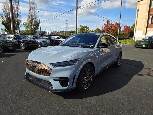 Glacier Gray Metallic 2025 Ford Mustang Mach-E GT