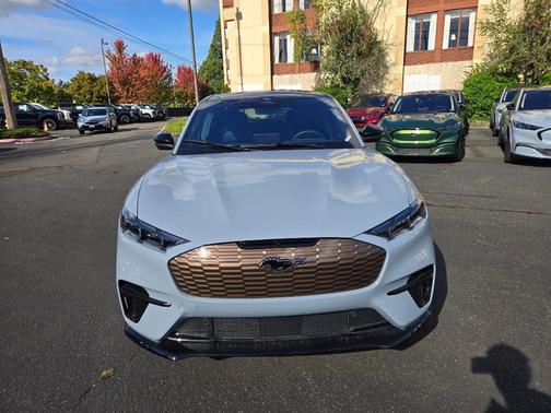 Glacier Gray Metallic 2025 Ford Mustang Mach-E GT