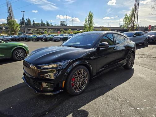 Shadow Black 2025 Ford Mustang Mach-E GT