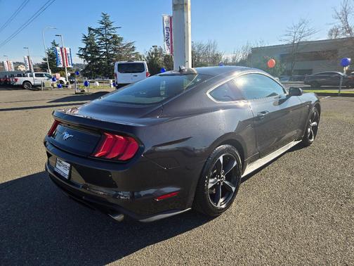 2022 Ford Mustang EcoBoost
