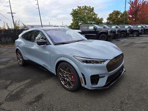 Glacier Gray Metallic 2025 Ford Mustang Mach-E GT