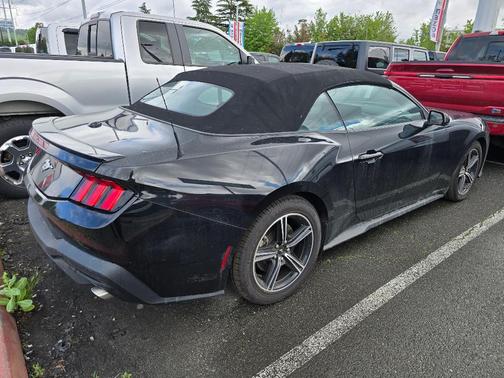 Black 2024 Ford Mustang EcoBoost