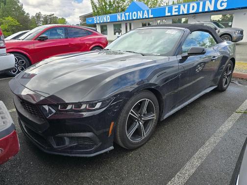 Black 2024 Ford Mustang EcoBoost