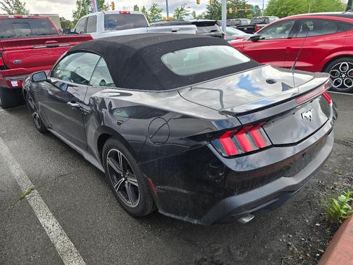 Black 2024 Ford Mustang EcoBoost