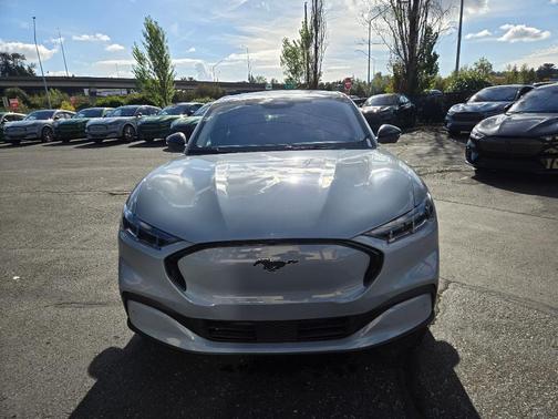 Glacier Gray Metallic 2025 Ford Mustang Mach-E Premium