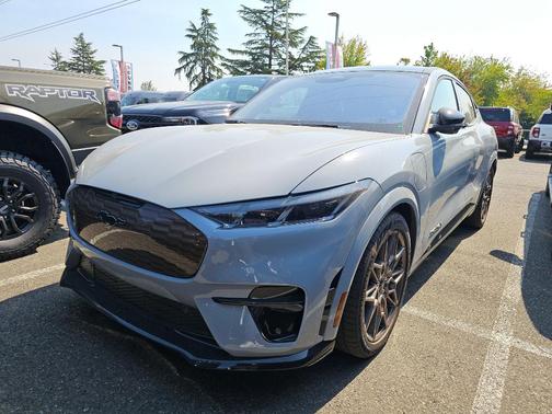 Glacier Gray Metallic 2025 Ford Mustang Mach-E GT