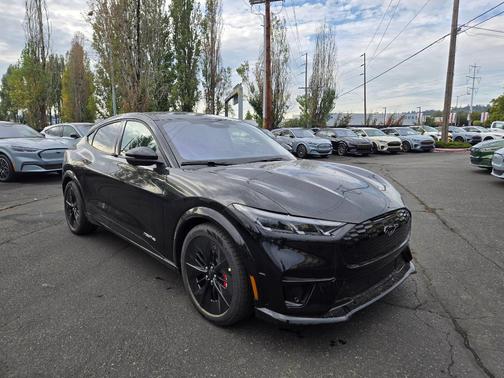 Shadow Black 2025 Ford Mustang Mach-E GT