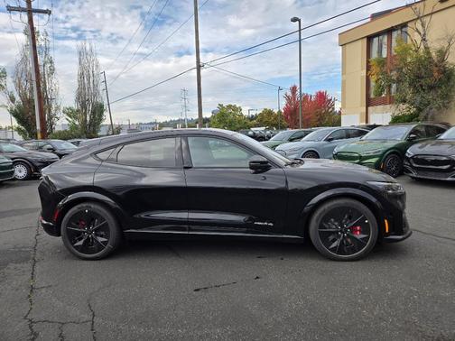 Shadow Black 2025 Ford Mustang Mach-E GT