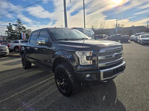 2015 Ford F-150 Platinum