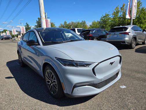 Glacier Gray Metallic 2025 Ford Mustang Mach-E Premium