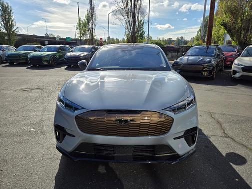 Glacier Gray Metallic 2025 Ford Mustang Mach-E GT
