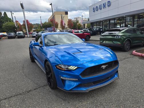 2019 Ford Mustang EcoBoost