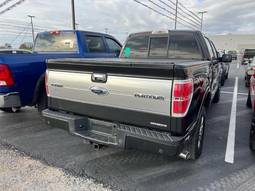 2013 Ford F-150 Platinum