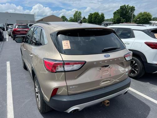 Tan 2020 Ford Escape SEL