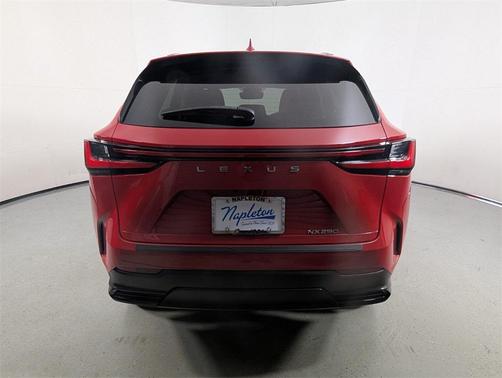 2022 Lexus NX 250 Base