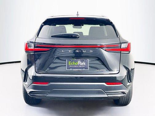 2025 Lexus NX 250 Premium