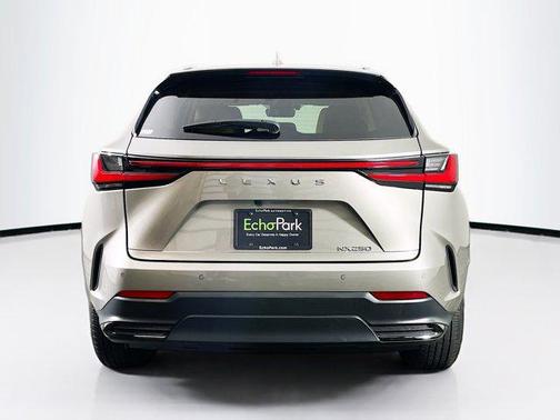 2025 Lexus NX 250 Premium