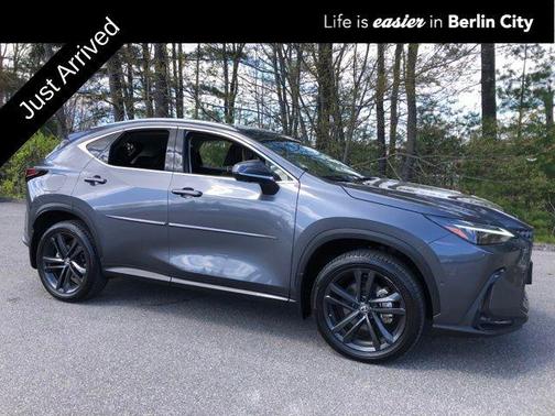 Cloudburst Gray 2025 Lexus NX 450h+ Luxury