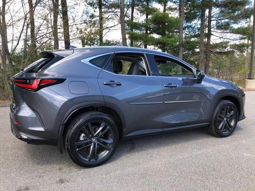 Cloudburst Gray 2025 Lexus NX 450h+ Luxury