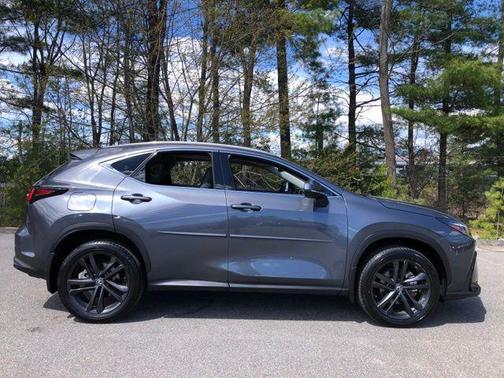 Cloudburst Gray 2025 Lexus NX 450h+ Luxury