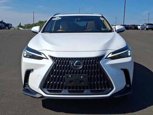2024 Lexus NX 250 Base