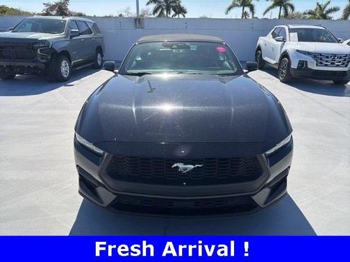 2024 Ford Mustang EcoBoost Premium