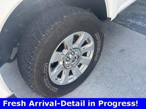 2022 Ford F-250 Platinum