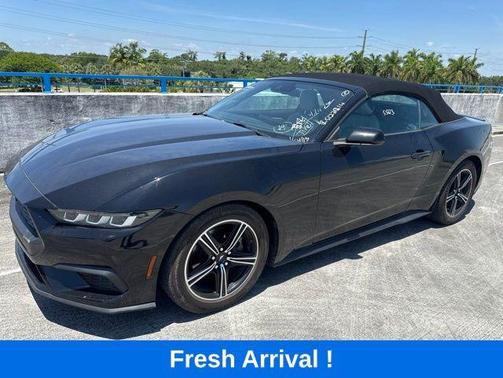 Shadow Black 2024 Ford Mustang EcoBoost Premium