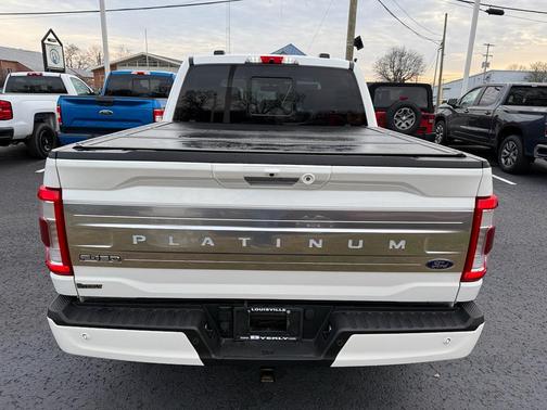 2021 Ford F-150 Platinum