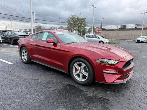 RAPID RED MET TINTED CC 2021 Ford Mustang ECOBOOST