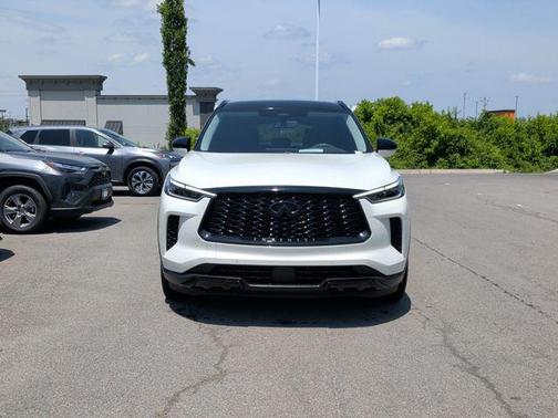 Majestic White 2023 INFINITI QX60 Luxe