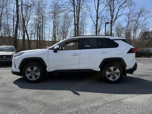 Ice Cap 2023 Toyota RAV4 XLE