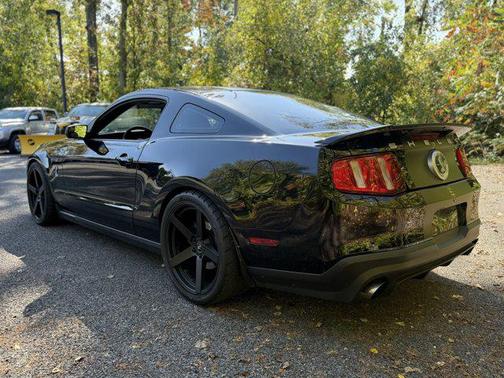 2011 Ford Shelby GT500 Base