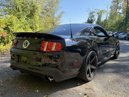 2011 Ford Shelby GT500 Base