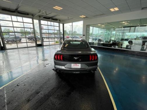 2022 Ford Mustang EcoBoost