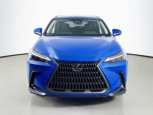2025 Lexus NX 250 Premium
