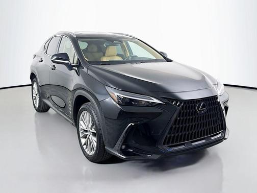2025 Lexus NX 350 Premium