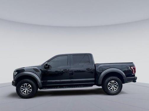 SHADOW BLACK 2018 Ford F-150 Raptor