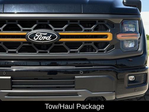 Agate Black Metallic 2025 Ford F-150 Tremor