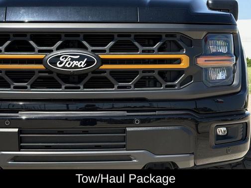 Agate Black Metallic 2025 Ford F-150 Tremor